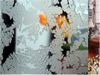 33111-CORAL CLEAR.jpg